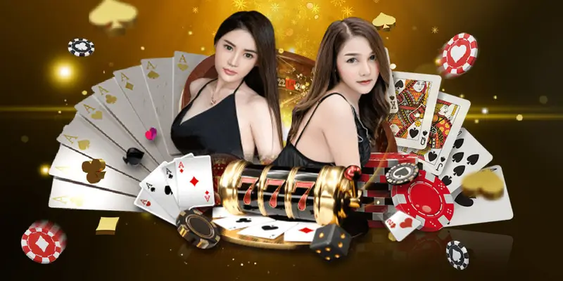 Casino live Mksport - Sân chơi mọi bet thủ nhất định phải biết